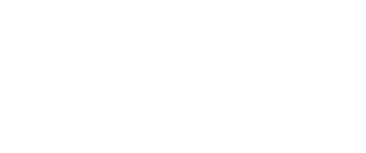 ION Mystery