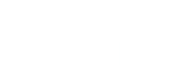 ION Plus