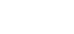 World's Wildest Police Videos logo