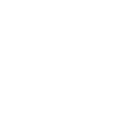 BFM Lyon