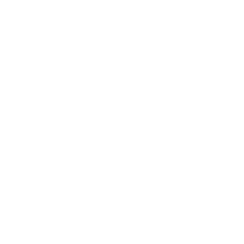 Canal J