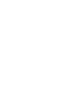 Autoplus