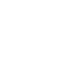 Cine Sony